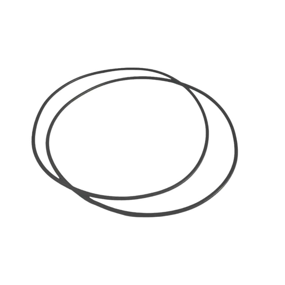 Aquamax Pump Flange O Ring