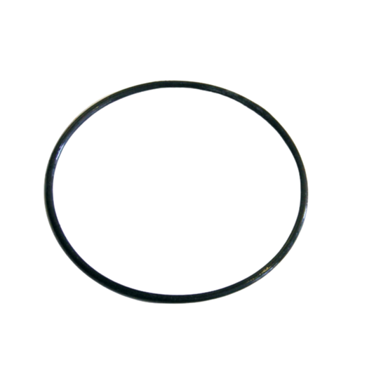 Aquamax Filter Lid O Ring